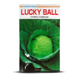 Semilla Repollo Lucky
