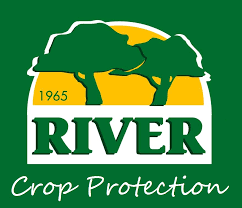 Logo River