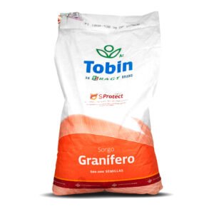 Semilla Sorgo Granifero